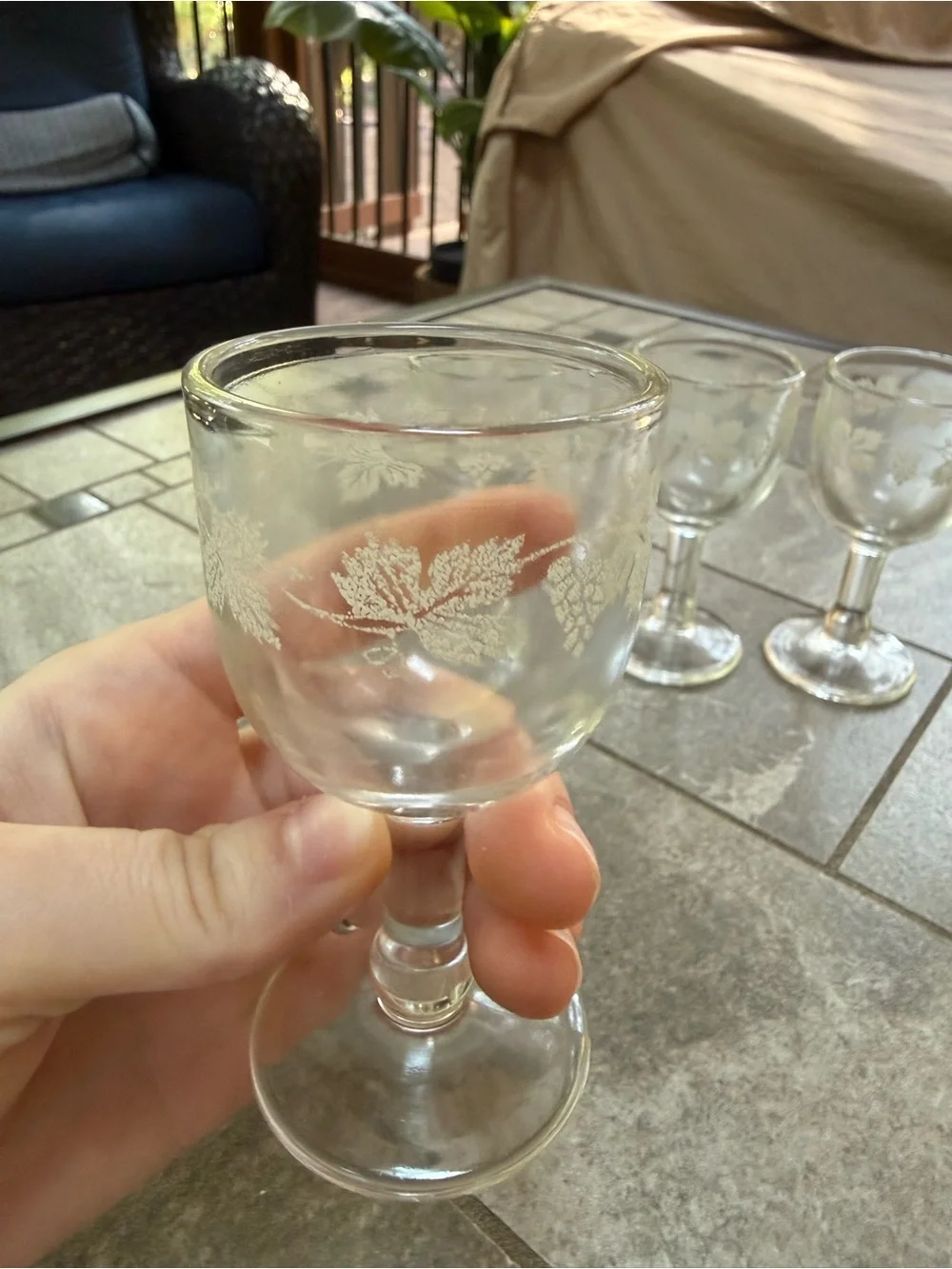Vintage Glass Etched Grape Cordial Glasses - Set of 5